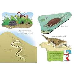 Dr. Seuss-Miles And Miles Of Reptiles - Book - Paracay