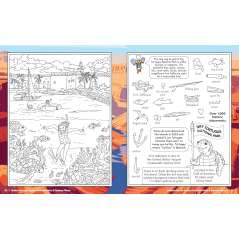 Hidden Picture Puzzles National Parks & Famous Places - Book - Paracay