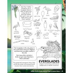 Hidden Picture Puzzles National Parks & Famous Places - Book - Paracay