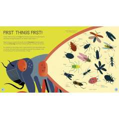 Insects Activity Book - Book - Paracay