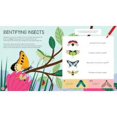 Insects Activity Book - Book - Paracay