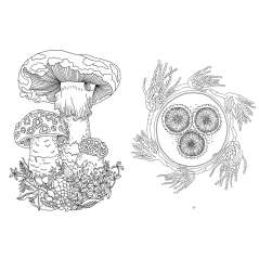 Kew Imaginarium: Magical Mushroom Paradise - Book - Paracay