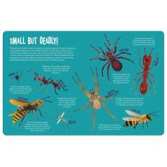 Magic Searchlight Bugs, Insects And More - Book - Paracay