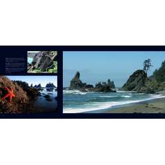 Olympic: A Photographic Journey - Book - Paracay