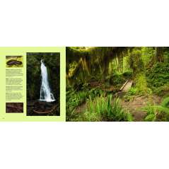 Olympic: A Photographic Journey - Book - Paracay