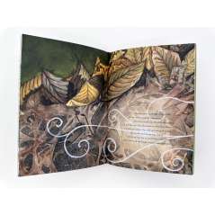 The Wonder Of Mushrooms - Book - Paracay