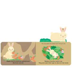 Woodland Babies - Book - Paracay