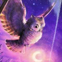 A Little Owl: An Animal Shaped Board Book - Book - Paracay