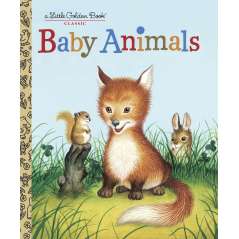 Baby Animals - Book - Paracay