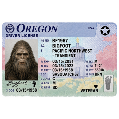 Bigfoot Drivers License - Oregon - Sticker - Paracay