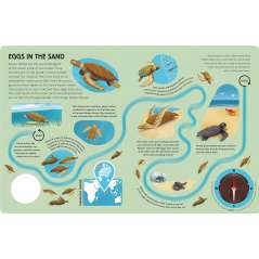 Epic Animal Journeys in the Sea: Animal Tracking Compass Book - Book - Paracay