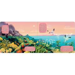 Exploring the Amazing World of the Coast - Book - Paracay