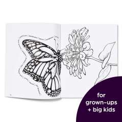 Hidden in Nature: A Cozy Hidden Pictures Coloring Book for Adults with Relaxing Nature Scenes, Intricate Hidden Pictures Puzzles and Stress-Relief Coloring Fun - Book - Paracay