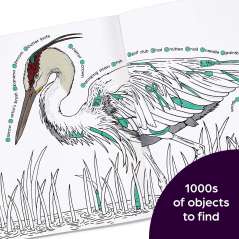 Hidden in Nature: A Cozy Hidden Pictures Coloring Book for Adults with Relaxing Nature Scenes, Intricate Hidden Pictures Puzzles and Stress-Relief Coloring Fun - Book - Paracay