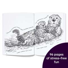 Hidden in Nature: A Cozy Hidden Pictures Coloring Book for Adults with Relaxing Nature Scenes, Intricate Hidden Pictures Puzzles and Stress-Relief Coloring Fun - Book - Paracay