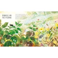 How to Become a Butterfly - Book - Paracay