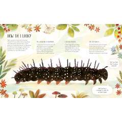 How to Become a Butterfly - Book - Paracay