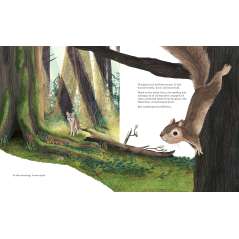 Listen to the Language of the Trees: A story of how forests communicate underground - Book - Paracay