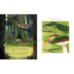 Listen to the Language of the Trees: A story of how forests communicate underground - Book - Paracay