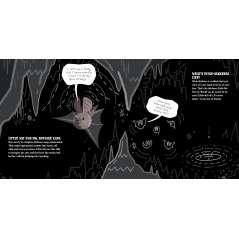 Little Bat and the Fabulous Cave - Book - Paracay