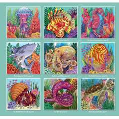 Spectacular Ocean Creatures Coloring Book - Book - Paracay