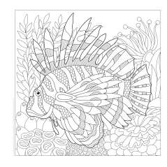 Spectacular Ocean Creatures Coloring Book - Book - Paracay