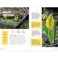 Wildflowers of the Pacific Northwest For Kids - Book - Paracay