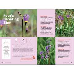 Wildflowers of the Pacific Northwest For Kids - Book - Paracay