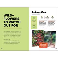 Wildflowers of the Pacific Northwest For Kids - Book - Paracay