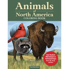 Animals of Norht America - Coloring Book - Paracay