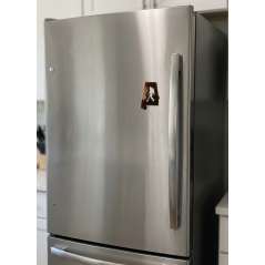 Alabama Bigfoot - Magnet - Paracay