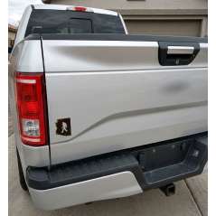 Arizona Bigfoot Magnet - Magnet - Paracay