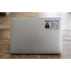 Bigfoot Drivers License Oregon - Sticker - Paracay
