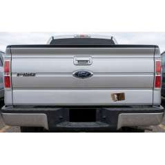 Montana Bigfoot - Magnet - Paracay