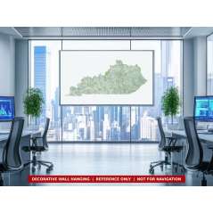 Kentucky sectional chart wall map on an office wall