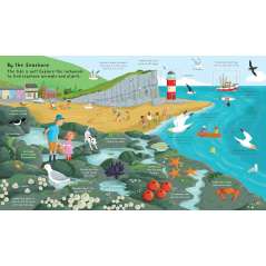 Lift the Flap: Discovery! Oceans - Book - Paracay