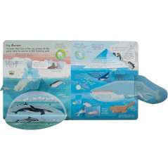 Lift the Flap: Discovery! Oceans - Book - ParacayLift the Flap: Discovery! Oceans - Book - Paracay