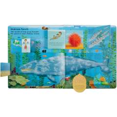 Lift the Flap: Discovery! Oceans - Book - Paracay