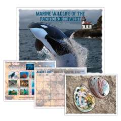 Marine Wildlife of the Pacific Northwest - 2027 - Calendar