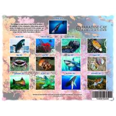 Marine Wildlife of the Pacific Northwest - 2027 - Calendar