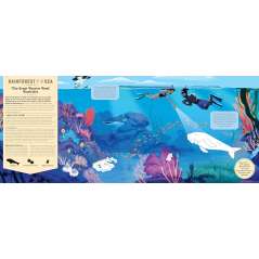 Mysteries of the Ocean - Book - Paracay