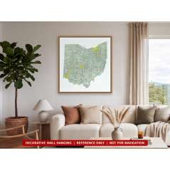 Ohio sectional chart wall map hanging in a living room