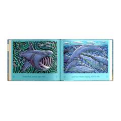 On An Ocean Journey - Book - Paracay