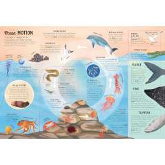 Ultimate Lift the Flap Encyclopedia of Oceans - Book - Paracay