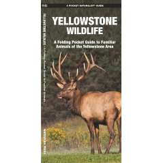Yellowstone Wildlife - Book - Paracay