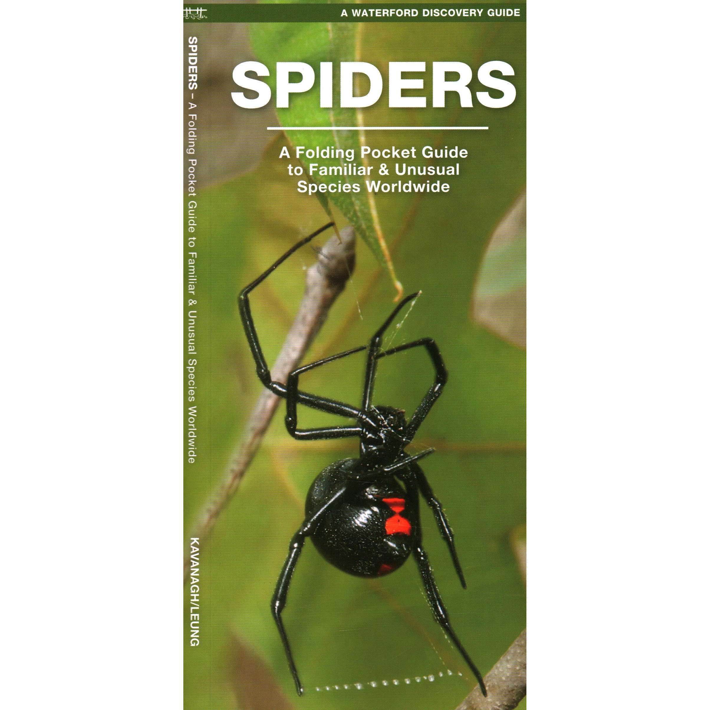 Outdoors, Camping & Travel Spiders A Folding Pocket Guide to
