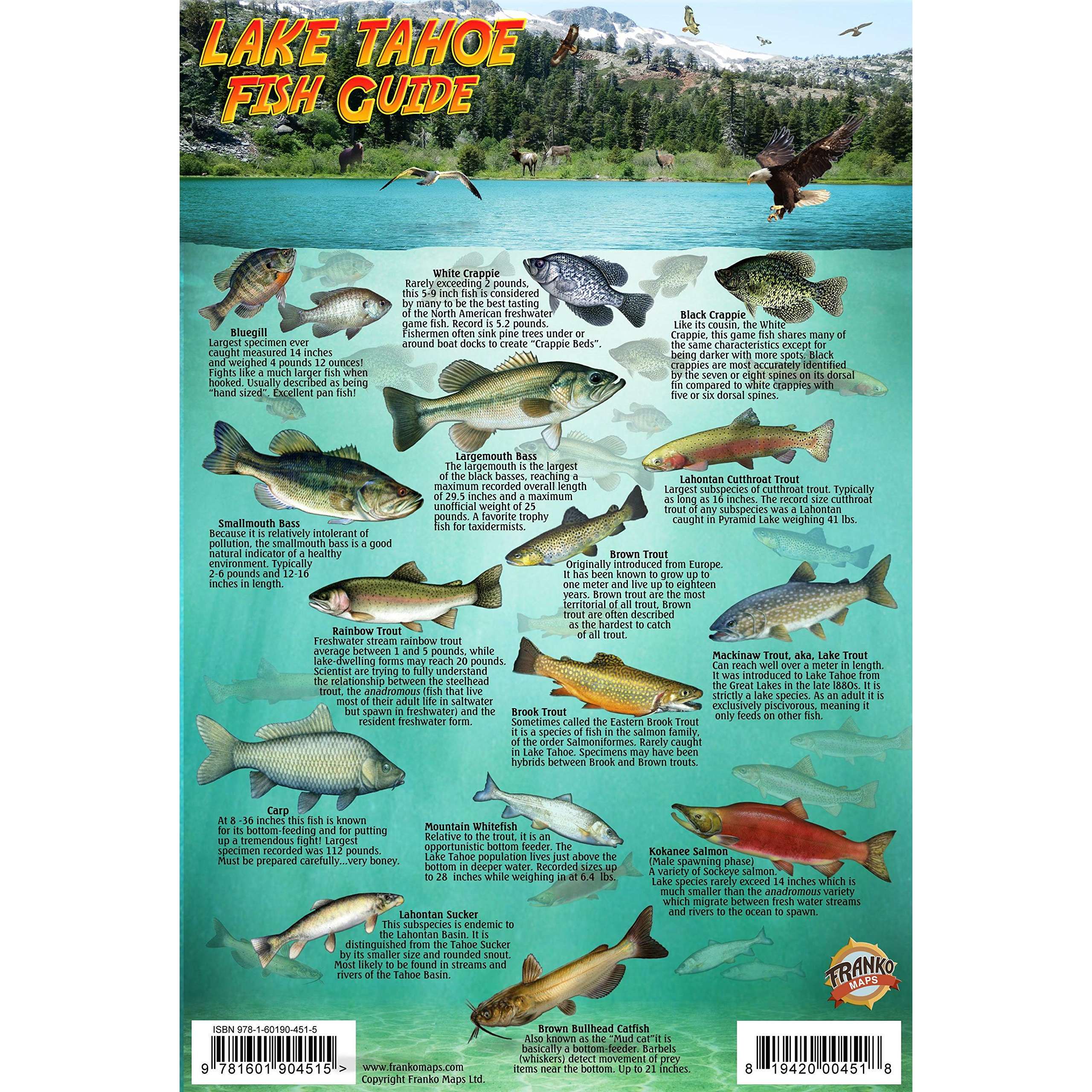 Outdoors, Camping & Travel :: All Outdoors Books :: Fish & Sealife  Identification Guides :: Lake Tahoe Map & Fish Guide - Paradise Cay -  Wholesale Books, Gifts, Navigational Charts, On Demand Publishing