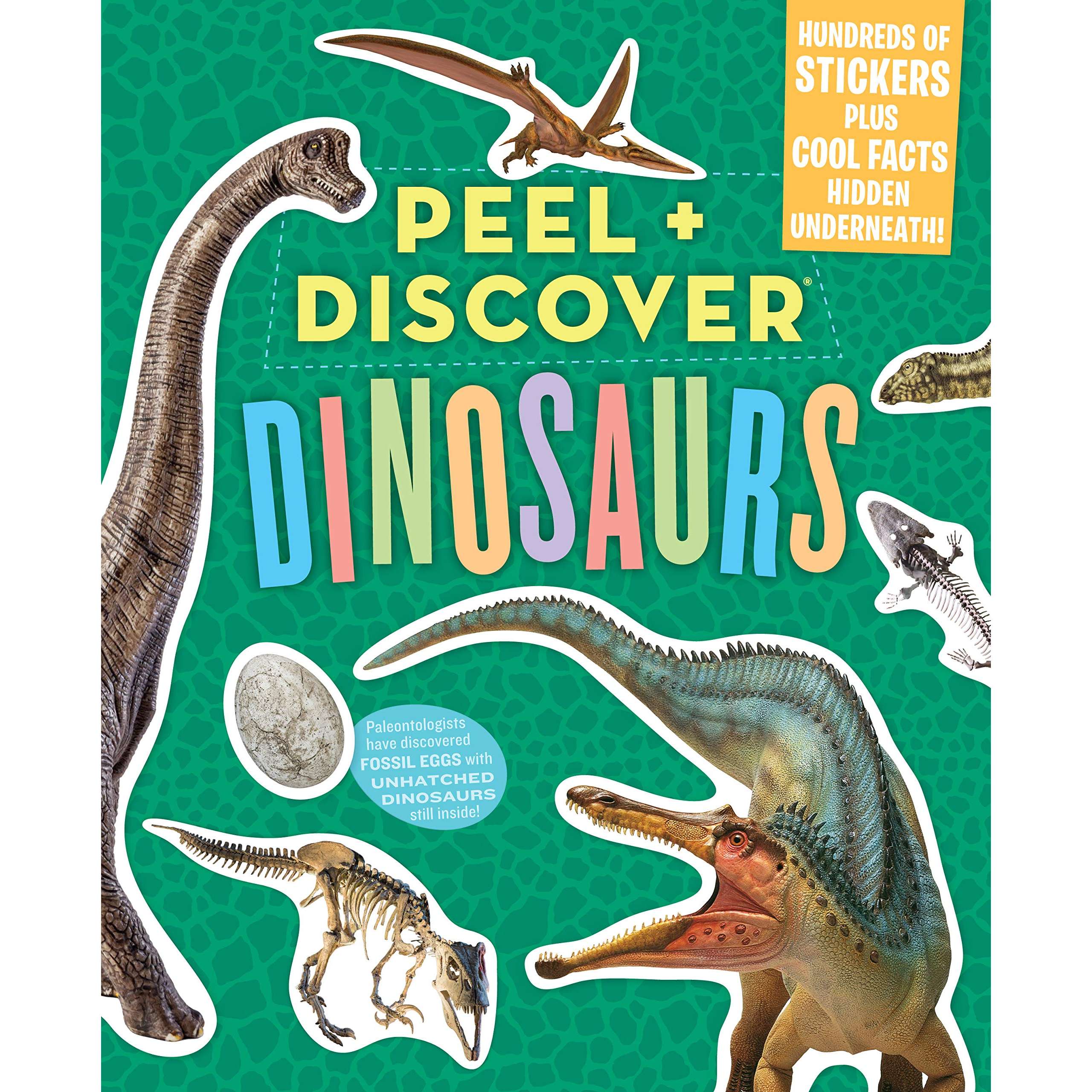 discover with dr cool dinosaurs