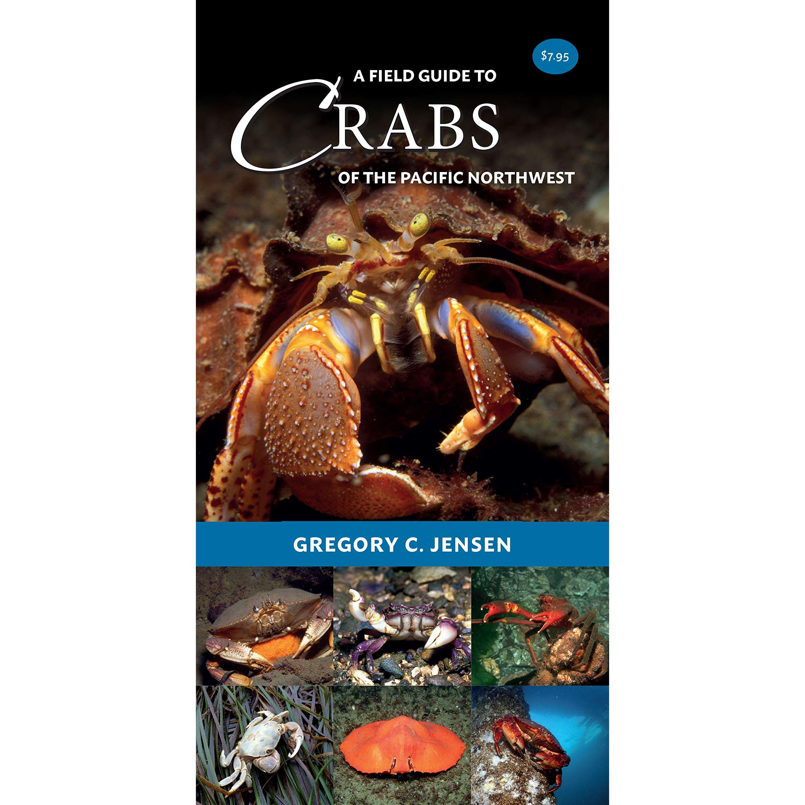 Spotting South Carolina'S Crabs: Your Field Guide - jwzuwxt