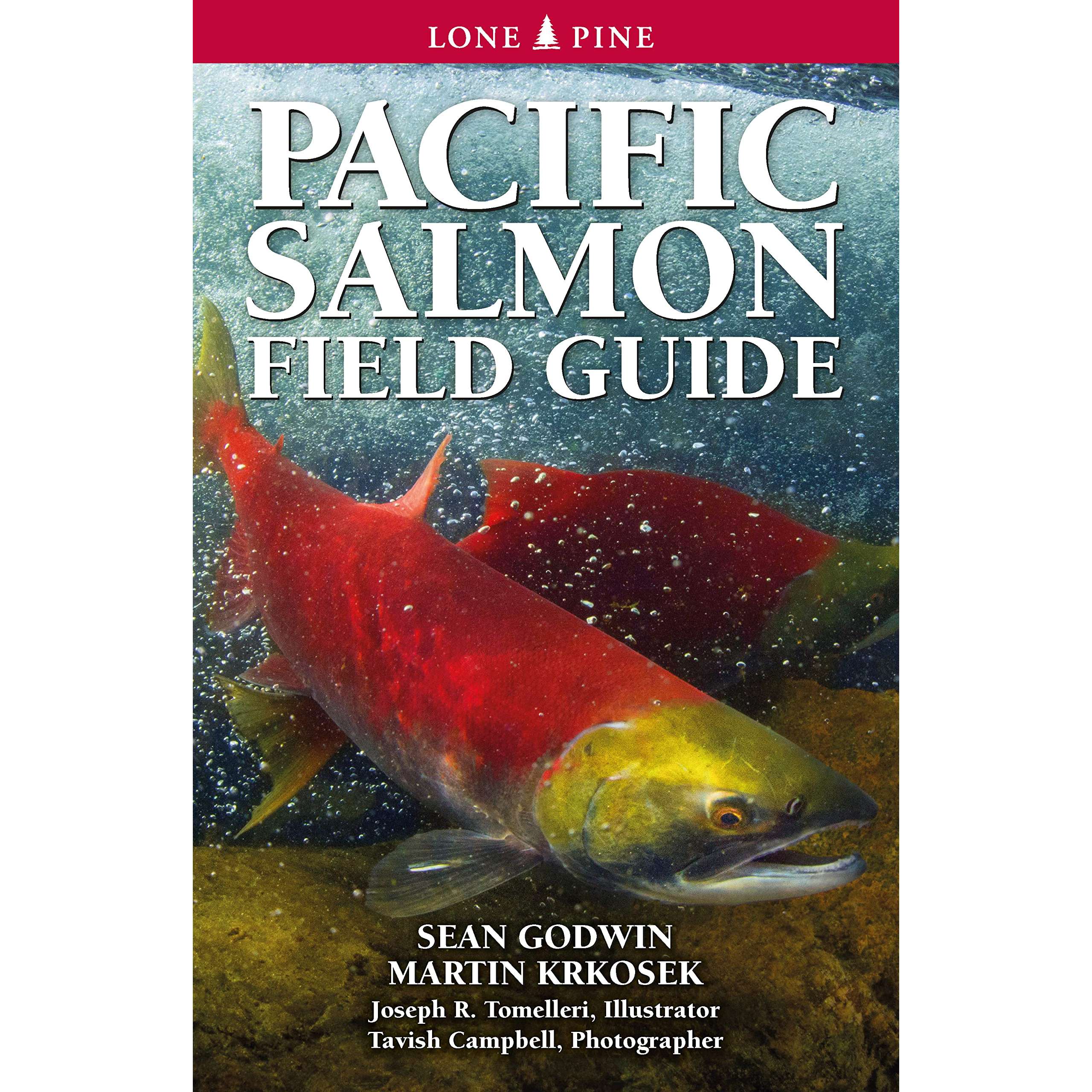 Outdoors, Camping & Travel :: All Outdoors Books :: Fish & Sealife